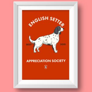 English Setter Featured
