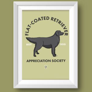 Flat Coated Retriever Black AS Featured