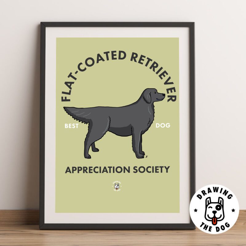 Flat Coated Retriever Black AS Framed