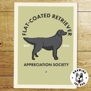 Flat Coated Retriever Black AS Print