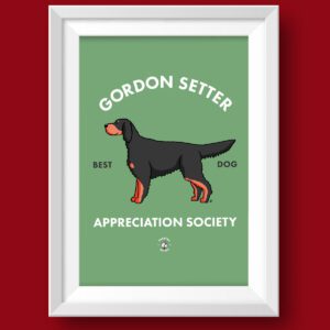 Gordon Setter AS Featured