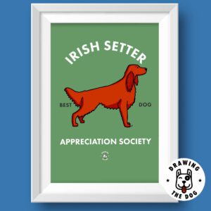 Irish Red Setter Featured