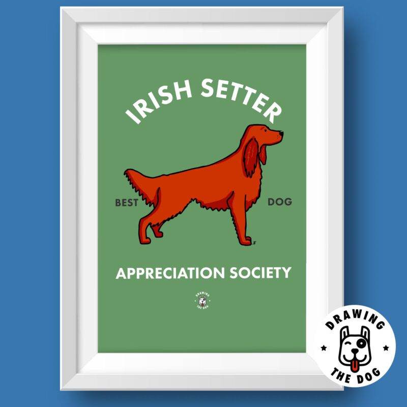 Irish Red Setter Featured
