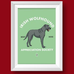 Irish Wolfhound AS Featured