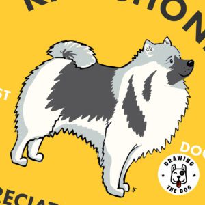 Kheeshond AS Closeup