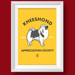 Kheeshond AS Featured