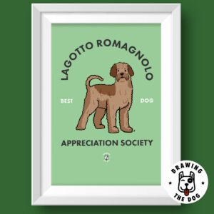 Lagotto Romagnolo Featured