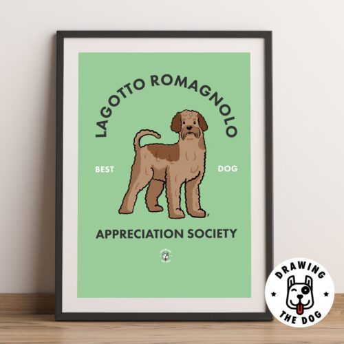 Lagotto Romagnolo Framed