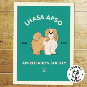 Lhasa Apso AS Print