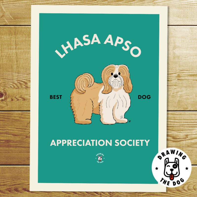 Lhasa Apso AS Print