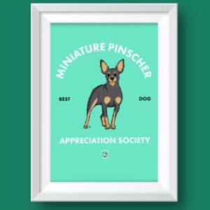Miniature Pinscher AS Featured