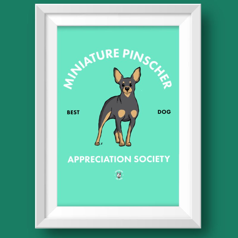 Miniature Pinscher AS Featured