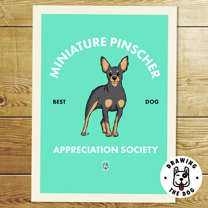 Miniature Pinscher AS Print