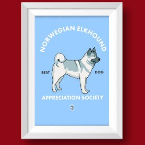 Norwegian Elkhound AS Featured