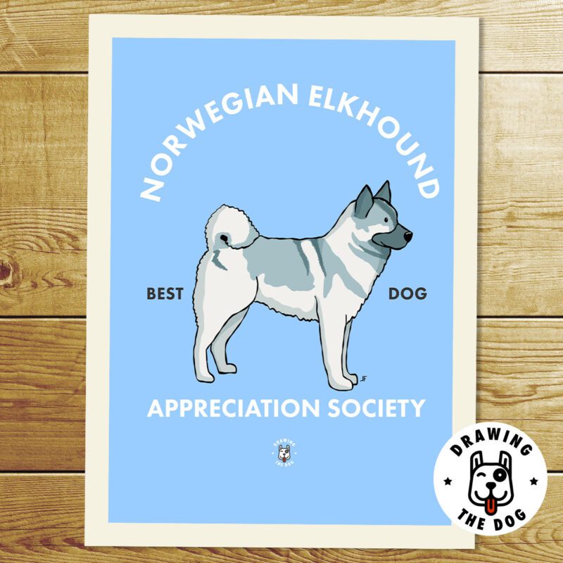 Norwegian Elkhound AS Print