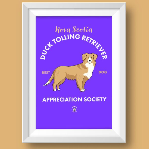 Nova Scotia Duck Tolling AS Featured Nova Scotia Duck Tolling AS Featured