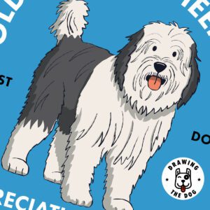 Old English Sheepdog AS Closeup