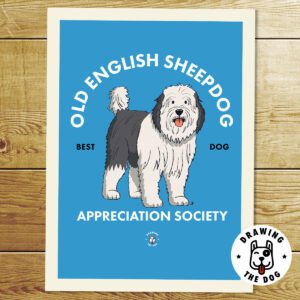 Old English Sheepdog AS Print