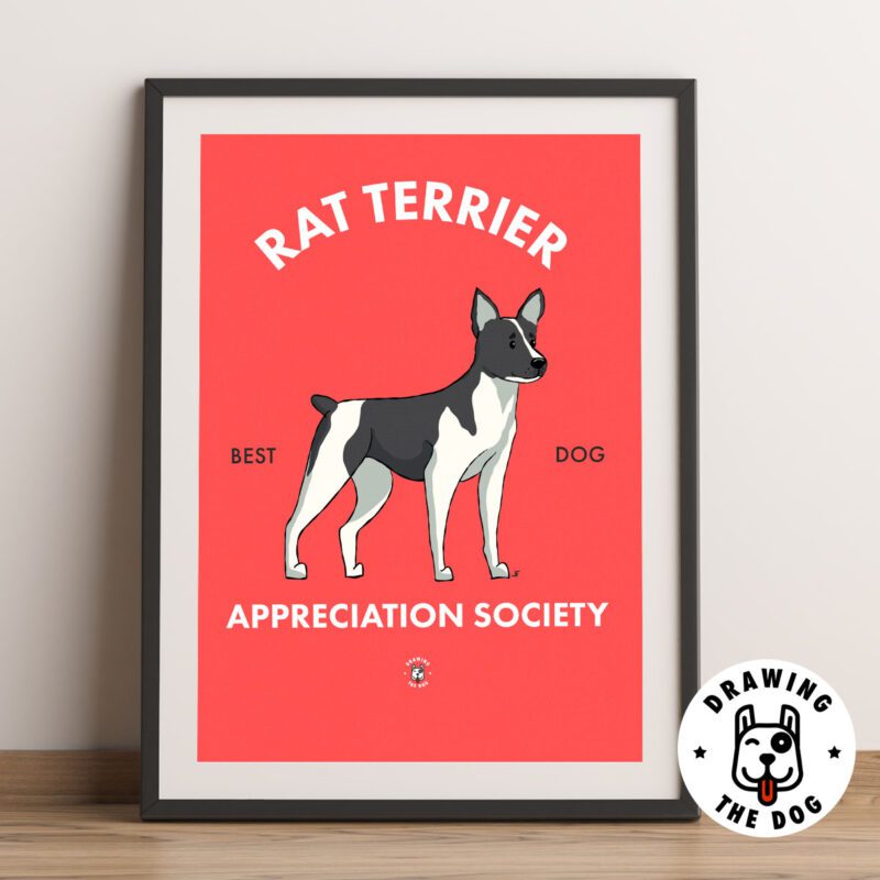 Rat Terrrier AS Framed