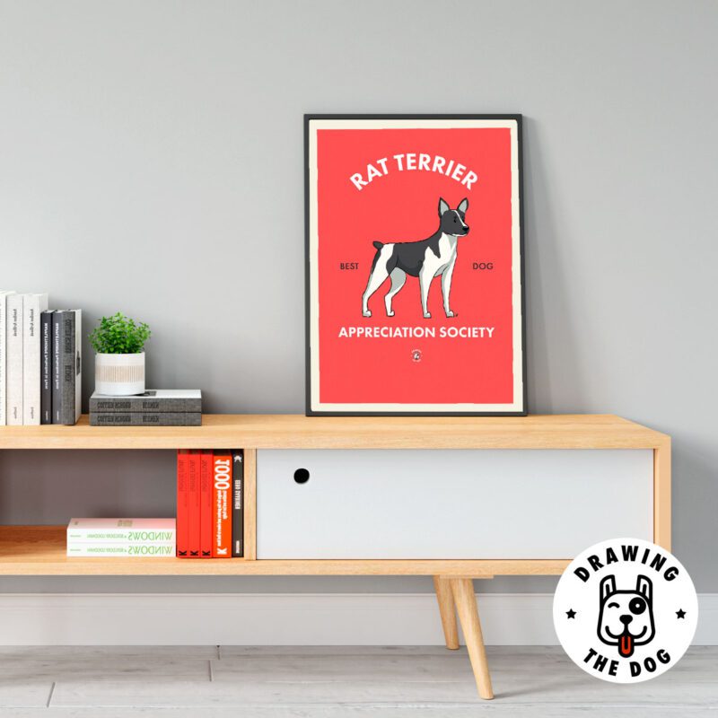 Rat Terrrier AS Living Room Decor