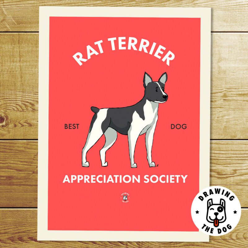 Rat Terrrier AS Print