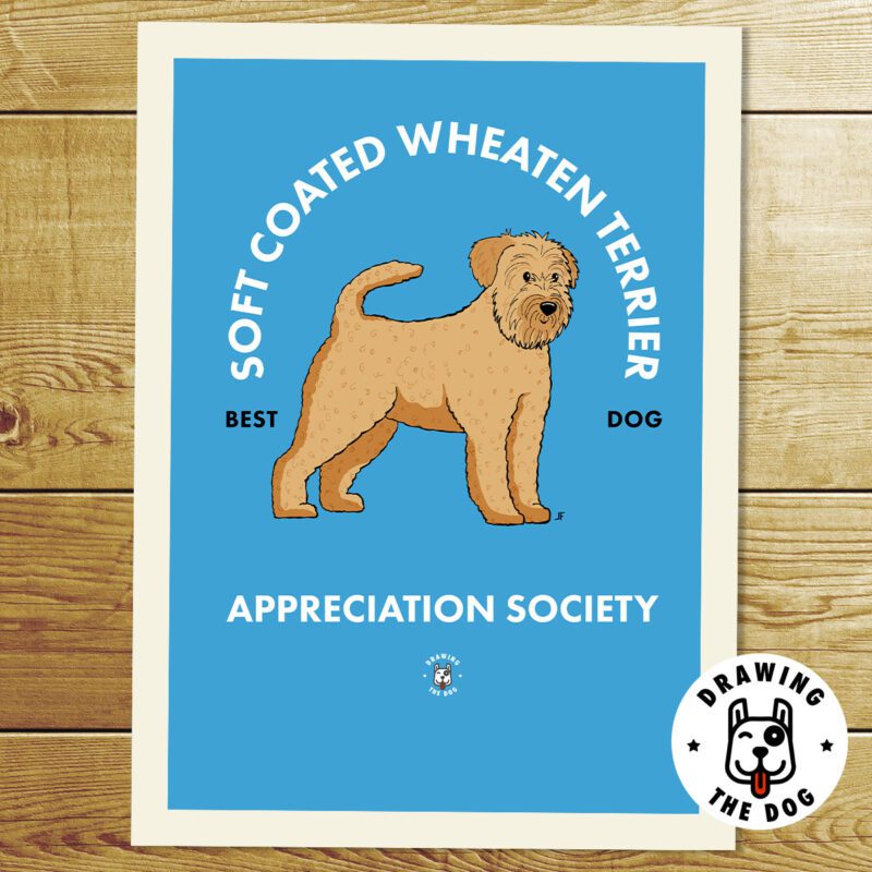 Soft Coated Wheaten Terrier Print