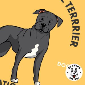 Staffy Bull Terrier Closeup