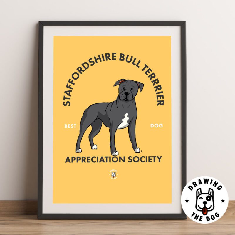 Staffy Bull Terrier Framed