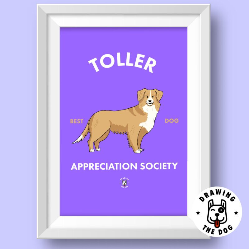 Nova Scotia Duck Tolling Retriever - Toller Art Wall Decor