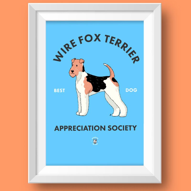Wire Fox Terrier AS Featured