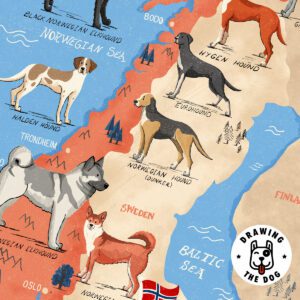 Dogs Of Norway Map Closeup