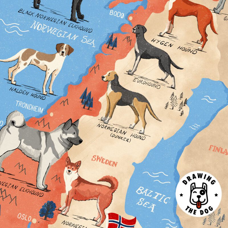 Dogs Of Norway Map Closeup
