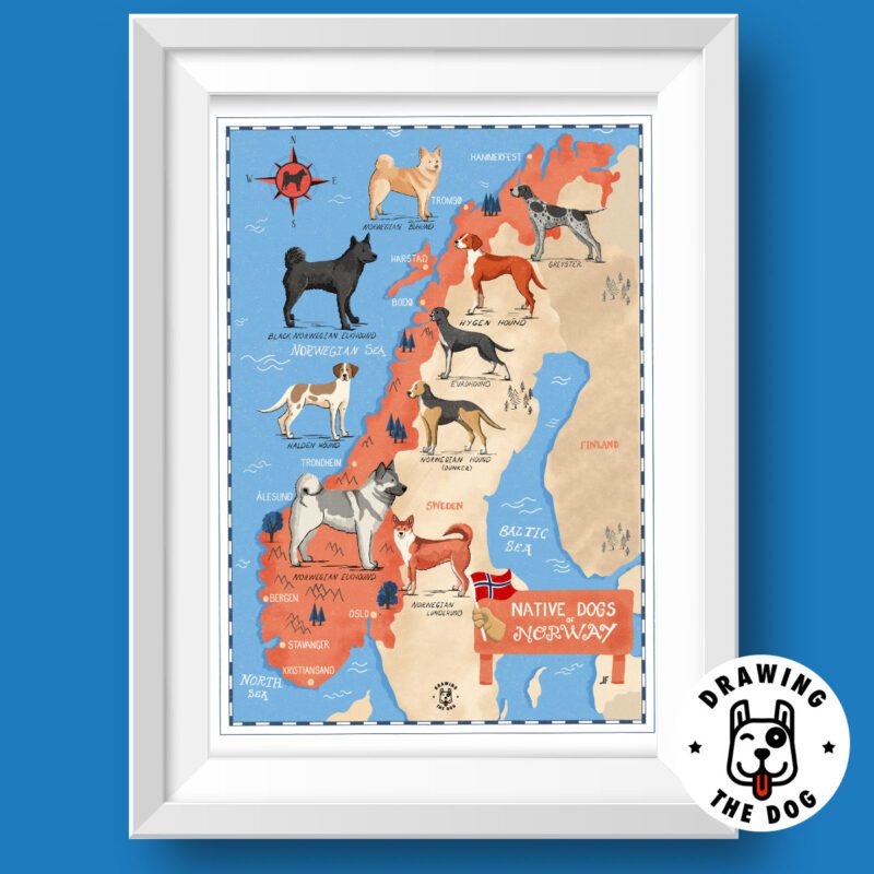 Dogs Of Norway Map Featured
