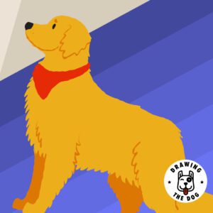 Golden Retriever Bauhaus Closeup