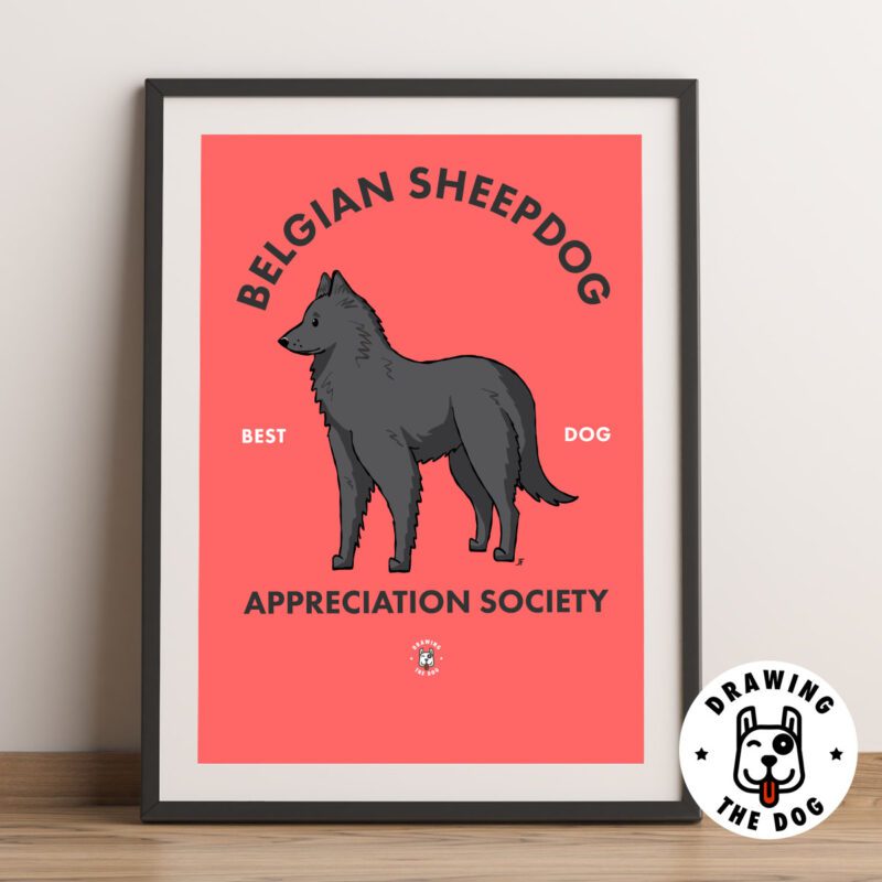 Belgian Sheepdog (Groenendael) Wall Art Print