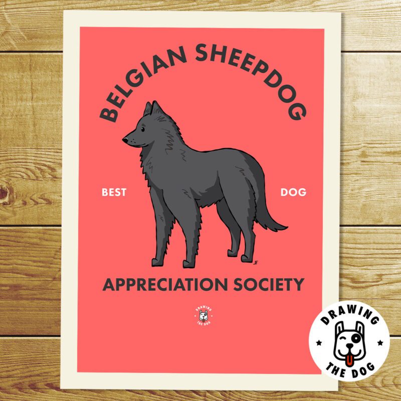 Belgian Sheepdog (Groenendael) Art Print