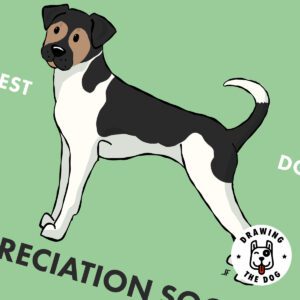 Danish Swedish Farmdog Closeup