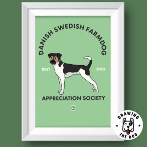 Danish Swedish Farmdog Featured