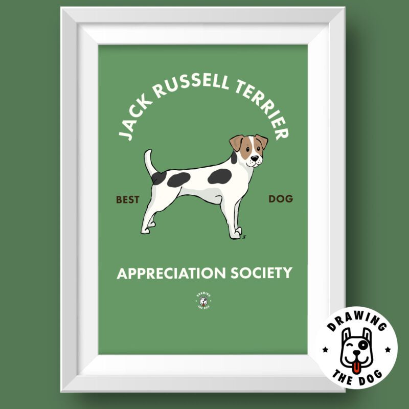 Jack Russell Terrier Featured