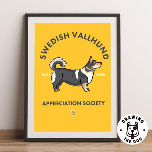 Swedish Valhund Framed
