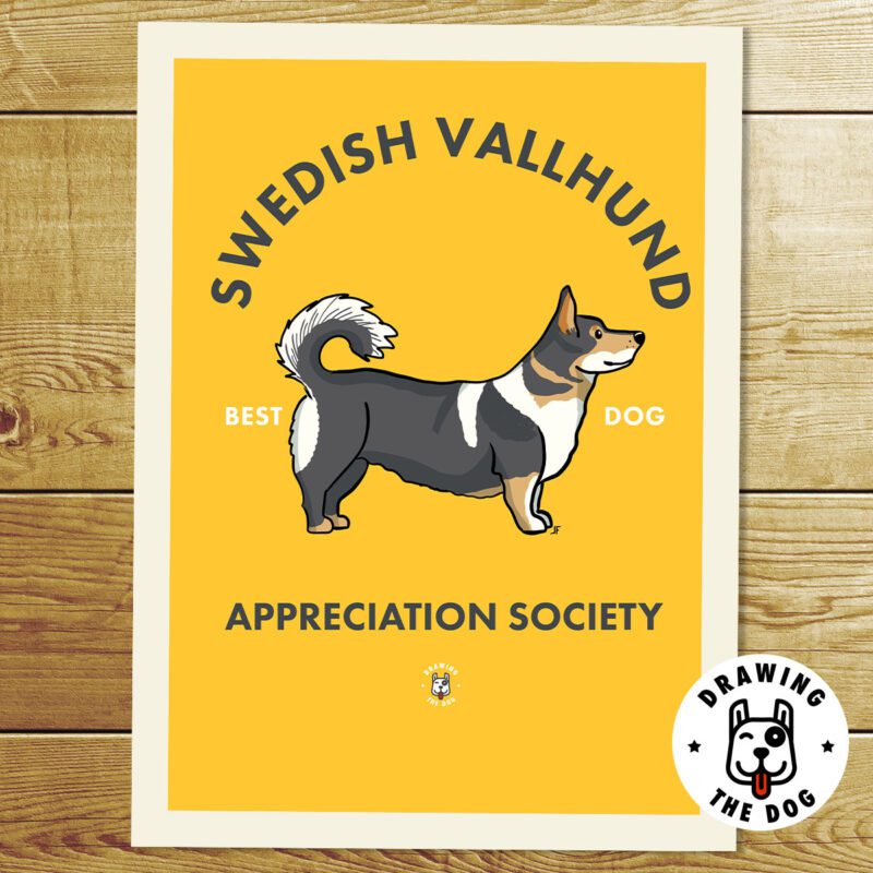 Swedish Valhund Print