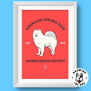 American Eskimo Dog Featured