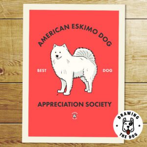American Eskimo Dog Print