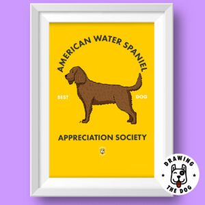 American Water Spaniel Featured