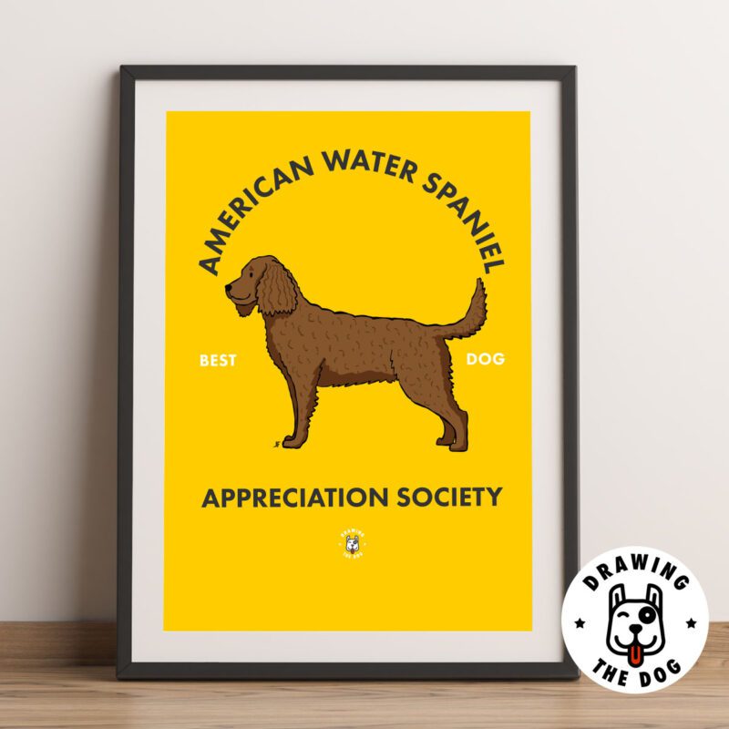 American Water Spaniel Framed