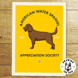 American Water Spaniel Print