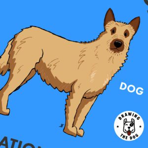 Belgian Laekenois Art Closeup