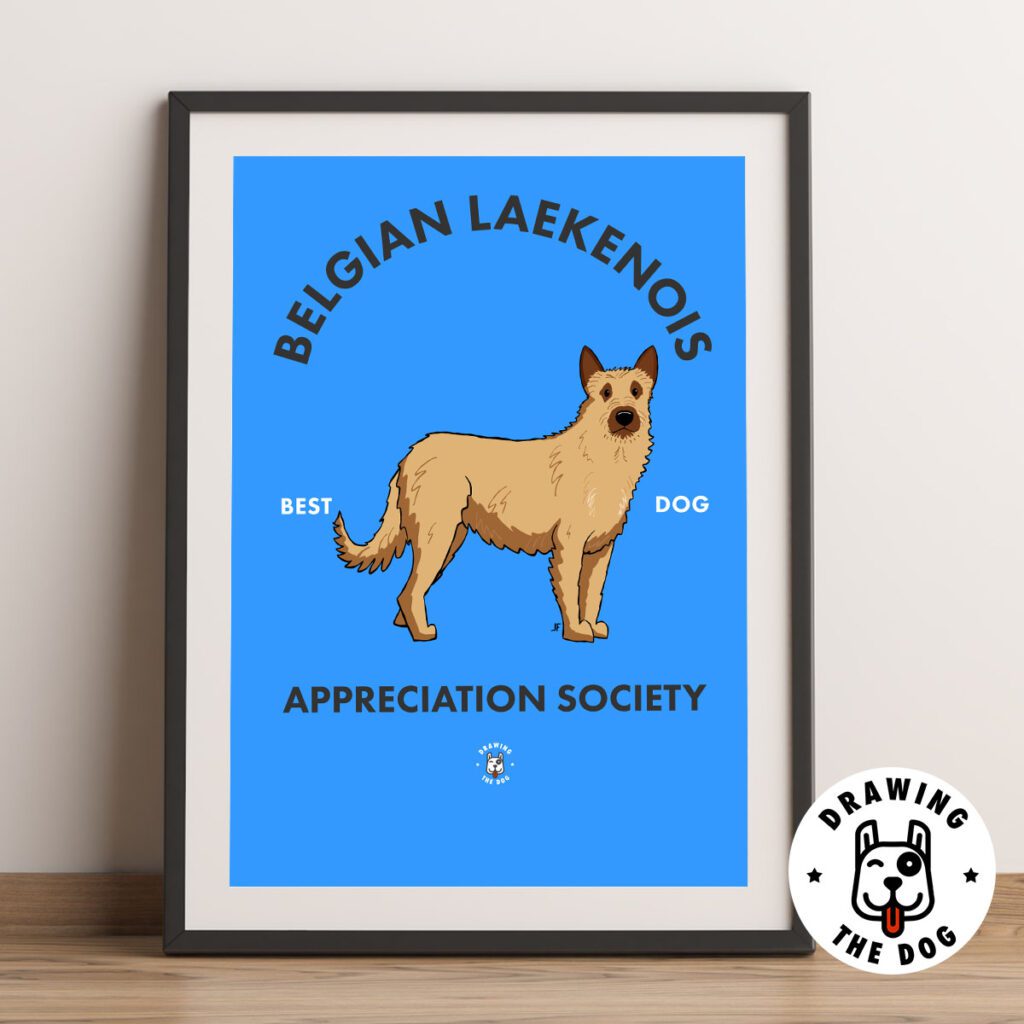 Belgian LaekenoisFramed
