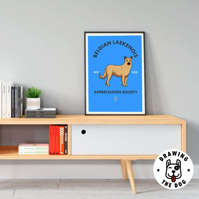 Belgian Laekenois Living Room Decor