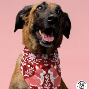 Big Brown Dog Wearing Corgi Bandana